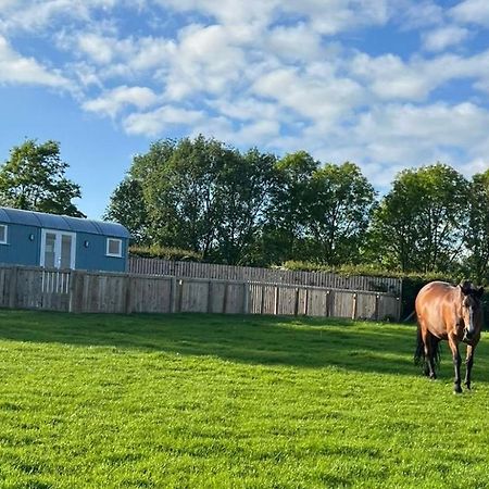 Wee Shepherds Hut Maybole Экстерьер фото